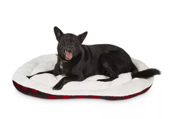 Petco Oval Dog Bed