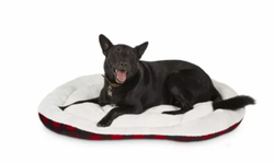Petco Oval Dog Bed Large